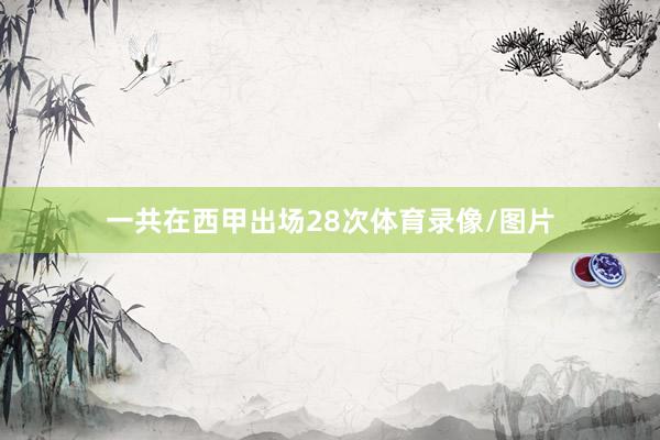 一共在西甲出场28次体育录像/图片
