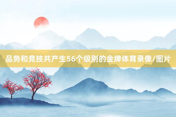 品势和竞技共产生56个级别的金牌体育录像/图片