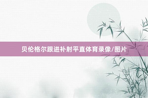 贝伦格尔跟进补射平直体育录像/图片
