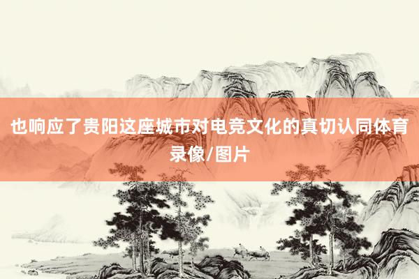 也响应了贵阳这座城市对电竞文化的真切认同体育录像/图片