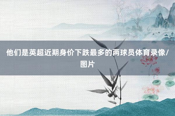 他们是英超近期身价下跌最多的两球员体育录像/图片