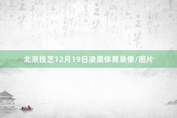 北京技艺12月19日凌晨体育录像/图片
