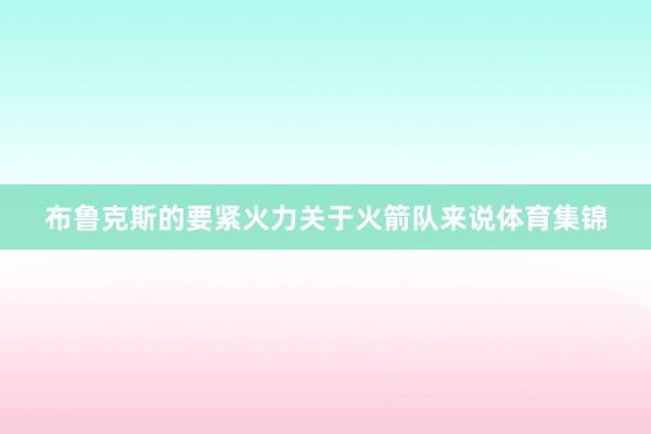 布鲁克斯的要紧火力关于火箭队来说体育集锦