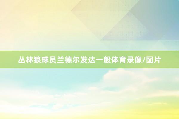 丛林狼球员兰德尔发达一般体育录像/图片