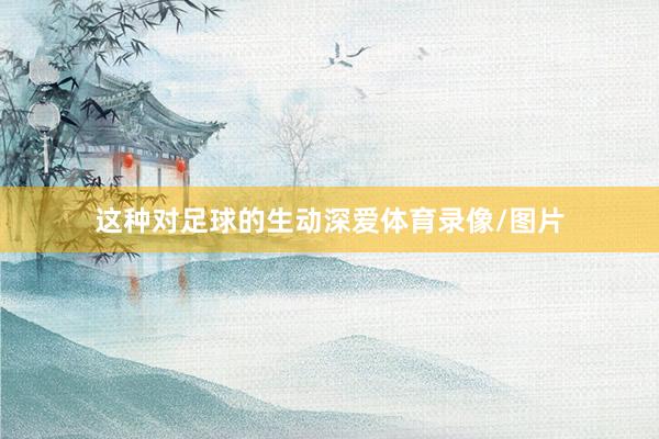 这种对足球的生动深爱体育录像/图片