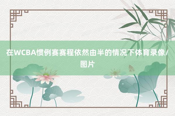 在WCBA惯例赛赛程依然由半的情况下体育录像/图片