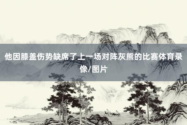 他因膝盖伤势缺席了上一场对阵灰熊的比赛体育录像/图片