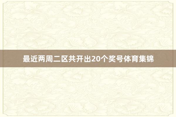 最近两周二区共开出20个奖号体育集锦