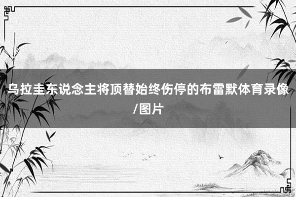 乌拉圭东说念主将顶替始终伤停的布雷默体育录像/图片