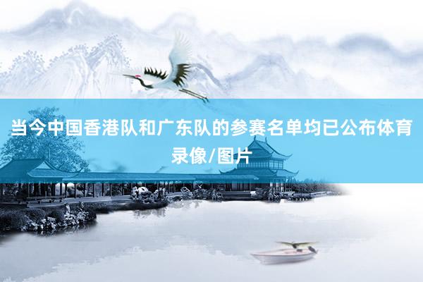 当今中国香港队和广东队的参赛名单均已公布体育录像/图片