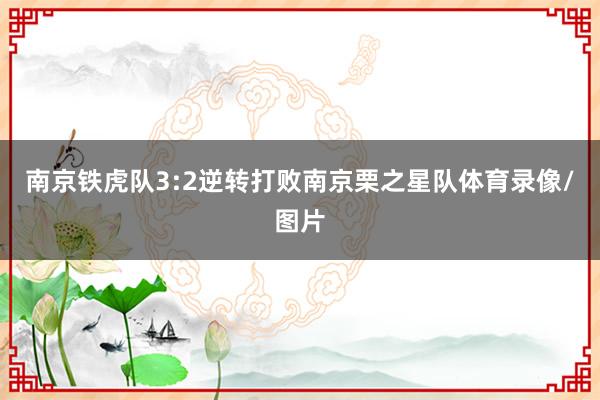 南京铁虎队3:2逆转打败南京栗之星队体育录像/图片