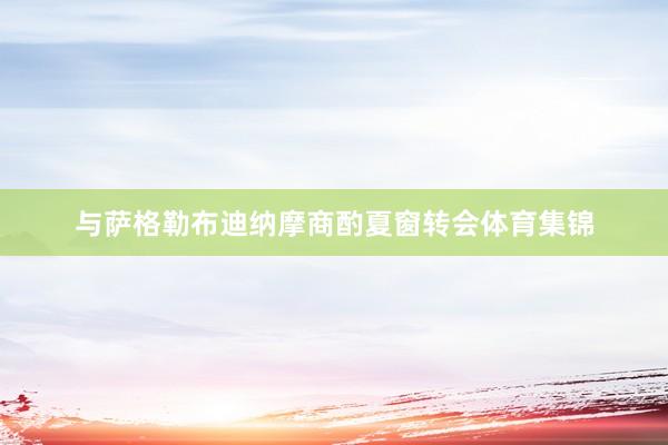 与萨格勒布迪纳摩商酌夏窗转会体育集锦
