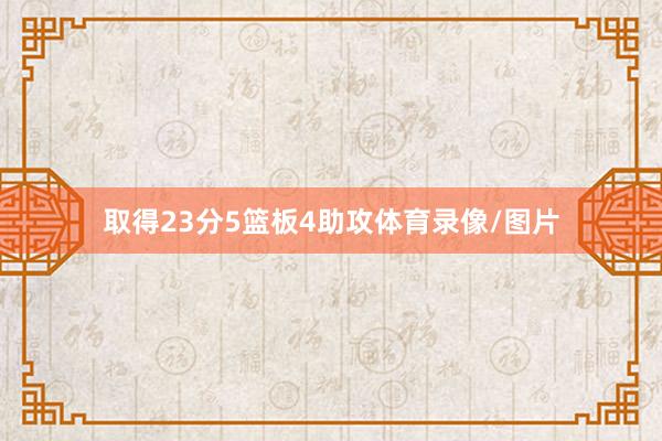 取得23分5篮板4助攻体育录像/图片