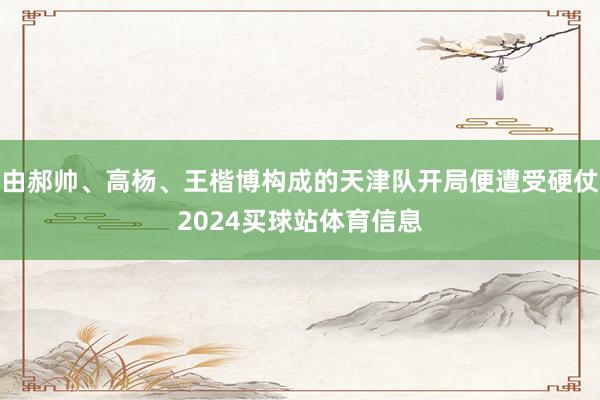 由郝帅、高杨、王楷博构成的天津队开局便遭受硬仗2024买球站体育信息