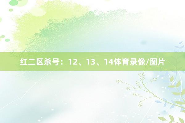 红二区杀号：12、13、14体育录像/图片