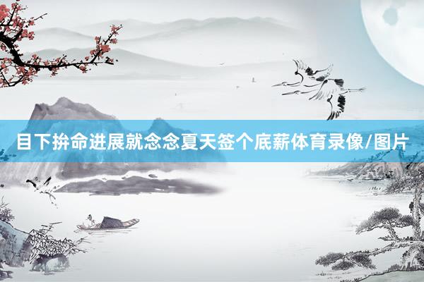 目下拚命进展就念念夏天签个底薪体育录像/图片