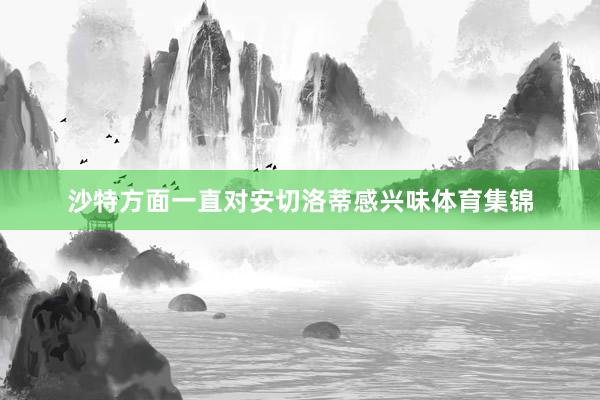 沙特方面一直对安切洛蒂感兴味体育集锦