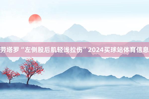 劳塔罗“左侧股后肌轻浅拉伤”2024买球站体育信息