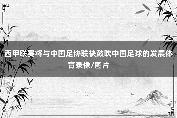 西甲联赛将与中国足协联袂鼓吹中国足球的发展体育录像/图片