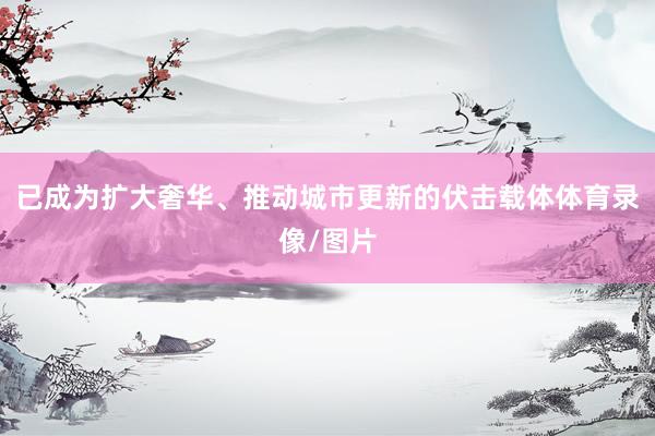 已成为扩大奢华、推动城市更新的伏击载体体育录像/图片