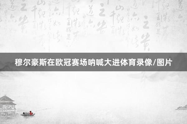 穆尔豪斯在欧冠赛场呐喊大进体育录像/图片