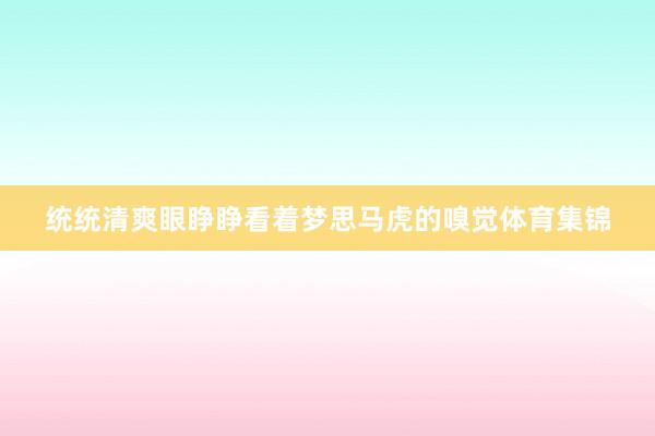 统统清爽眼睁睁看着梦思马虎的嗅觉体育集锦