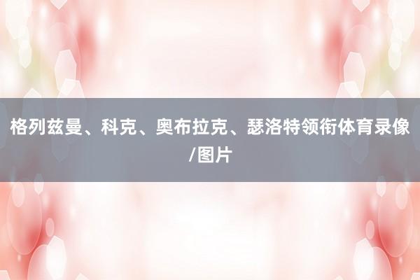 格列兹曼、科克、奥布拉克、瑟洛特领衔体育录像/图片
