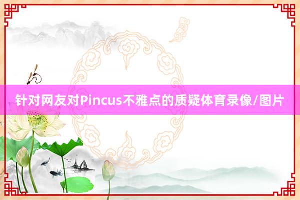 针对网友对Pincus不雅点的质疑体育录像/图片