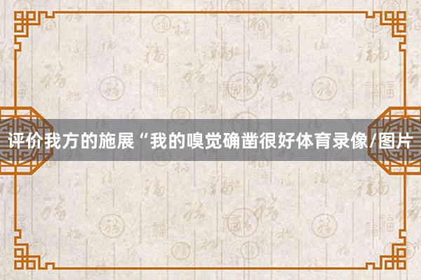 评价我方的施展“我的嗅觉确凿很好体育录像/图片