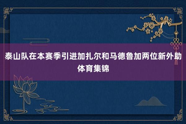 泰山队在本赛季引进加扎尔和马德鲁加两位新外助体育集锦
