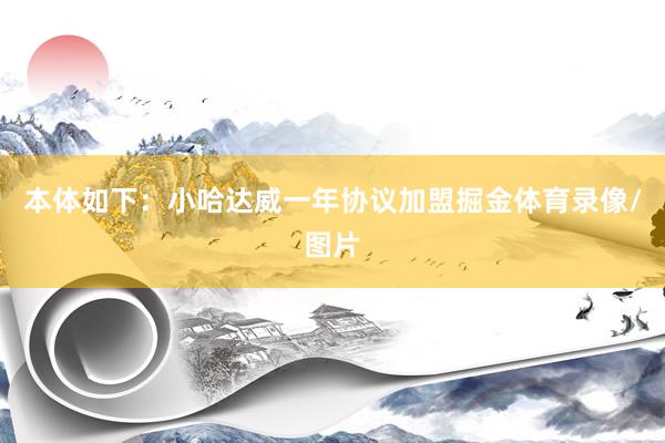本体如下：小哈达威一年协议加盟掘金体育录像/图片