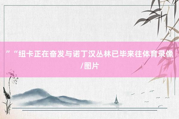 ”“纽卡正在奋发与诺丁汉丛林已毕来往体育录像/图片