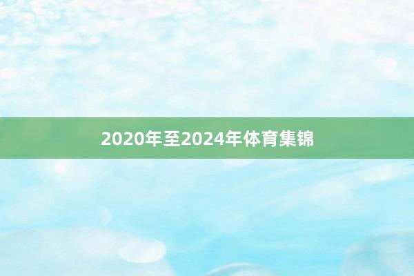 2020年至2024年体育集锦