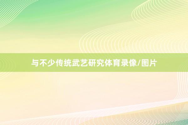 与不少传统武艺研究体育录像/图片