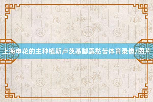 上海申花的主种植斯卢茨基脚露愁苦体育录像/图片
