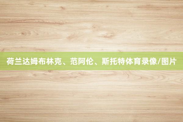 荷兰达姆布林克、范阿伦、斯托特体育录像/图片