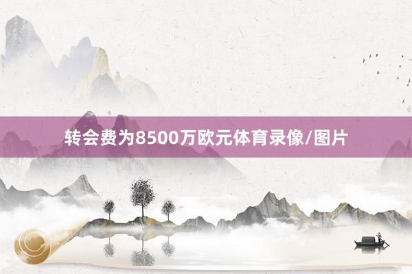 转会费为8500万欧元体育录像/图片
