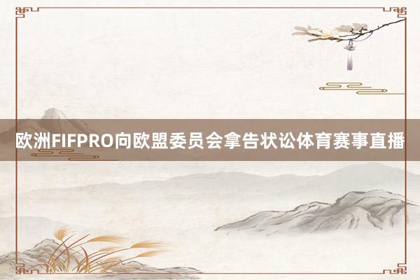 欧洲FIFPRO向欧盟委员会拿告状讼体育赛事直播