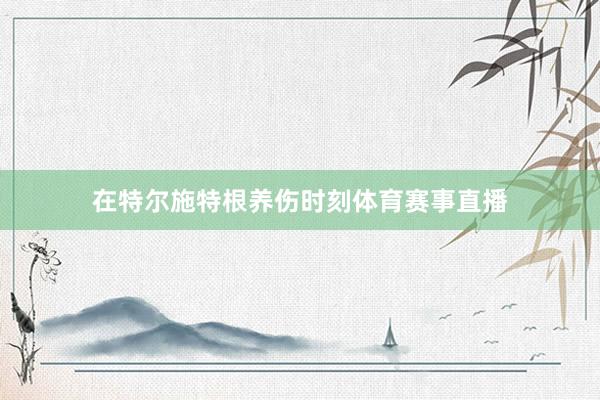在特尔施特根养伤时刻体育赛事直播