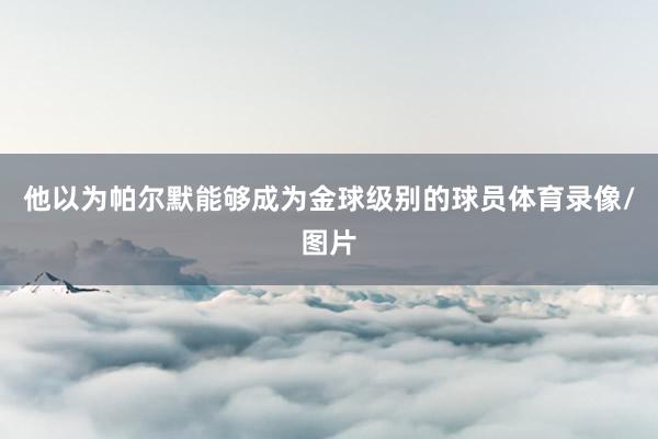 他以为帕尔默能够成为金球级别的球员体育录像/图片