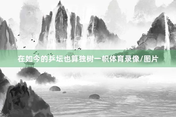 在如今的乒坛也算独树一帜体育录像/图片