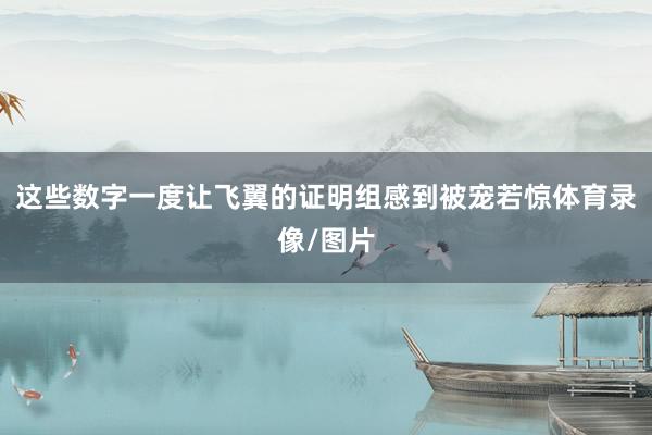 这些数字一度让飞翼的证明组感到被宠若惊体育录像/图片