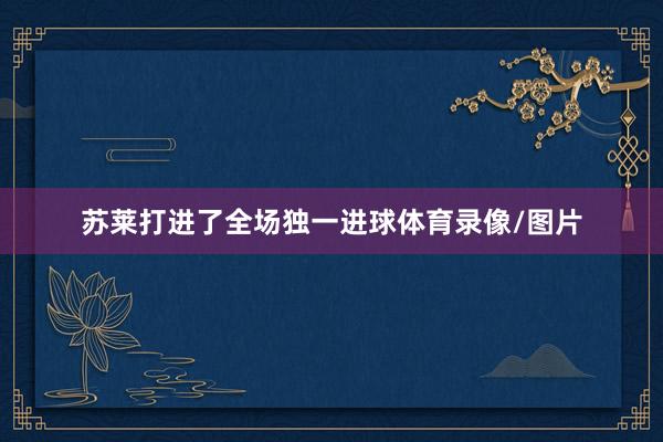 苏莱打进了全场独一进球体育录像/图片