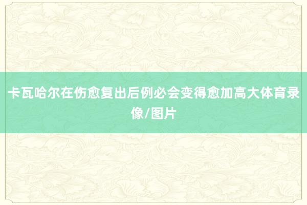 卡瓦哈尔在伤愈复出后例必会变得愈加高大体育录像/图片