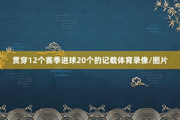 贯穿12个赛季进球20个的记载体育录像/图片
