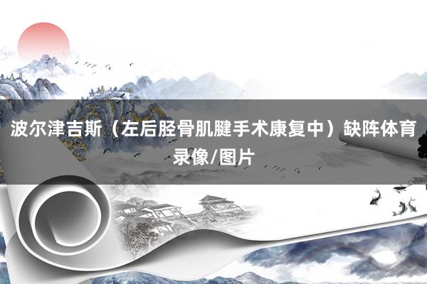 波尔津吉斯（左后胫骨肌腱手术康复中）缺阵体育录像/图片