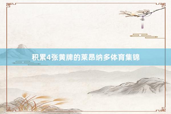 积累4张黄牌的莱昂纳多体育集锦