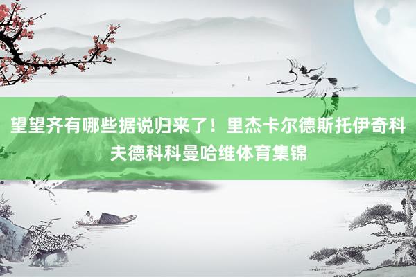 望望齐有哪些据说归来了！里杰卡尔德斯托伊奇科夫德科科曼哈维体育集锦