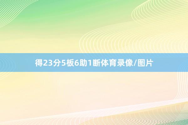 得23分5板6助1断体育录像/图片