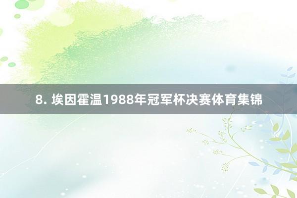 8. 埃因霍温1988年冠军杯决赛体育集锦